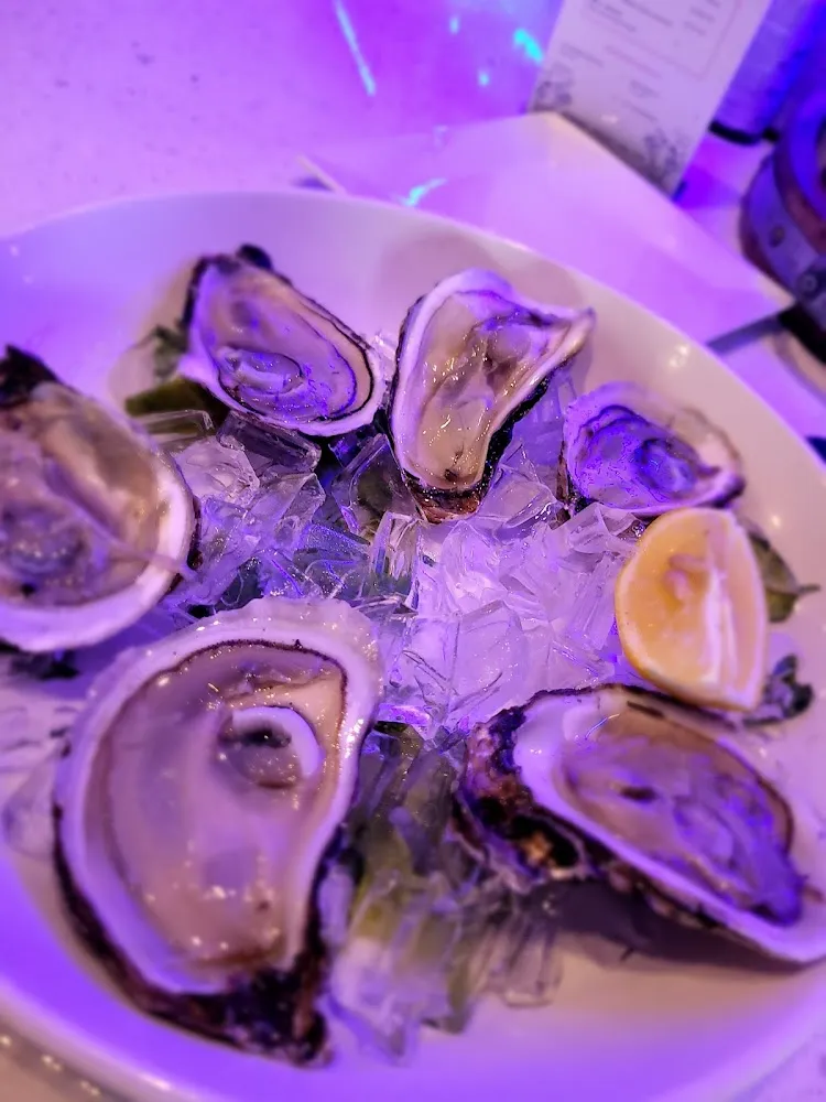 Oysters